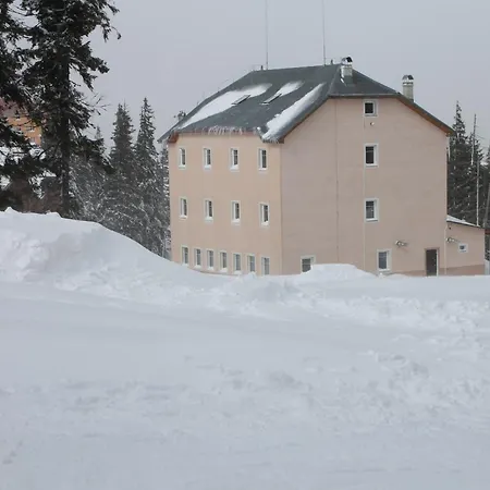 оаза * Dragobrat