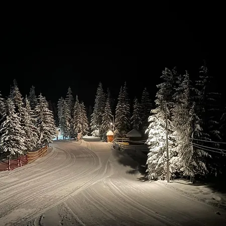 Hotel оаза Dragobrat