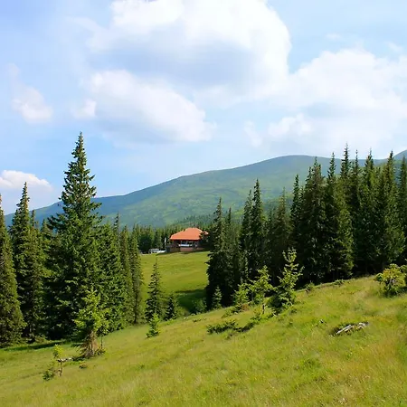 оаза