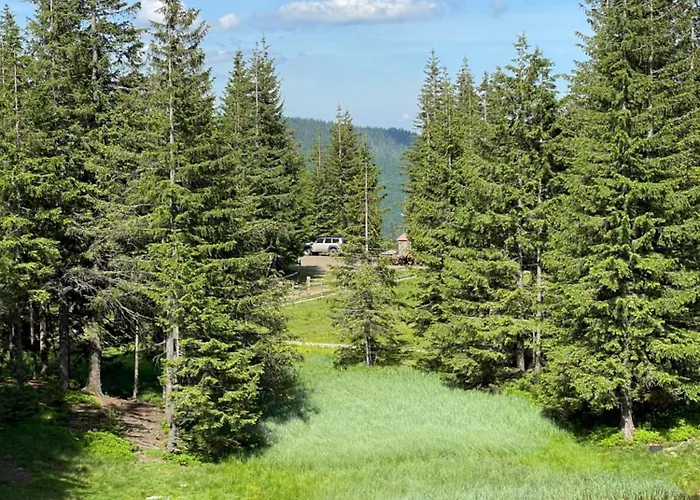 оаза