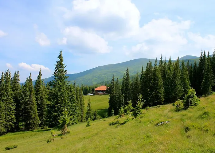 оаза