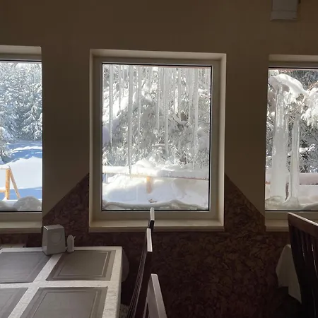 Hotel оаза Dragobrat